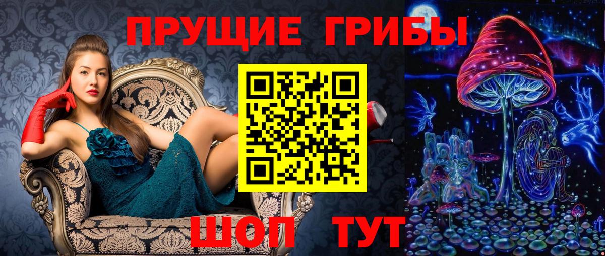 Галлюциногенные грибы Cubensis  даркнет сайт  Зеленогорск  Вход с VPN  Галлюциногенные грибы Psilocybine cubensis 